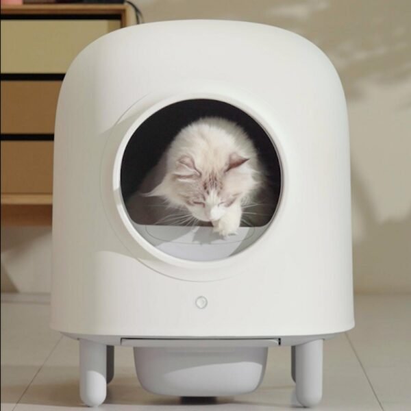 cat litter box